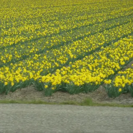 Sterflat 179 Apartman