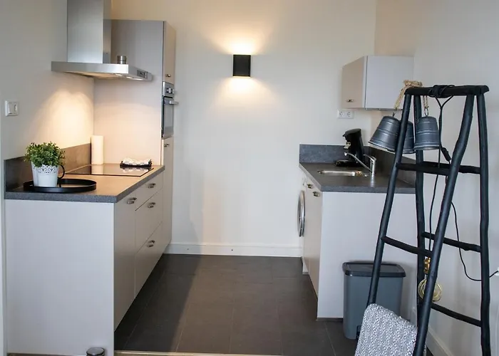 Daire Sterflat 179 Egmond aan Zee