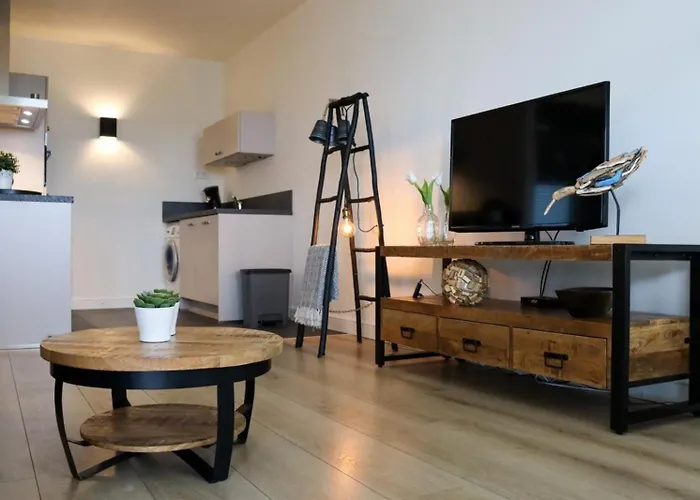 Sterflat 179 Daire Egmond aan Zee