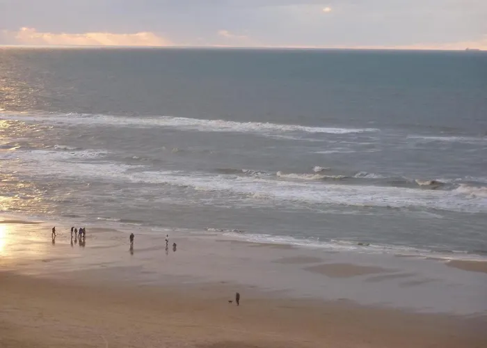 Daire Sterflat 179 Egmond aan Zee